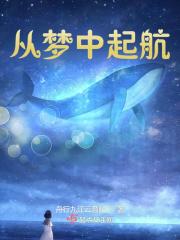 我从梦中醒来歌词