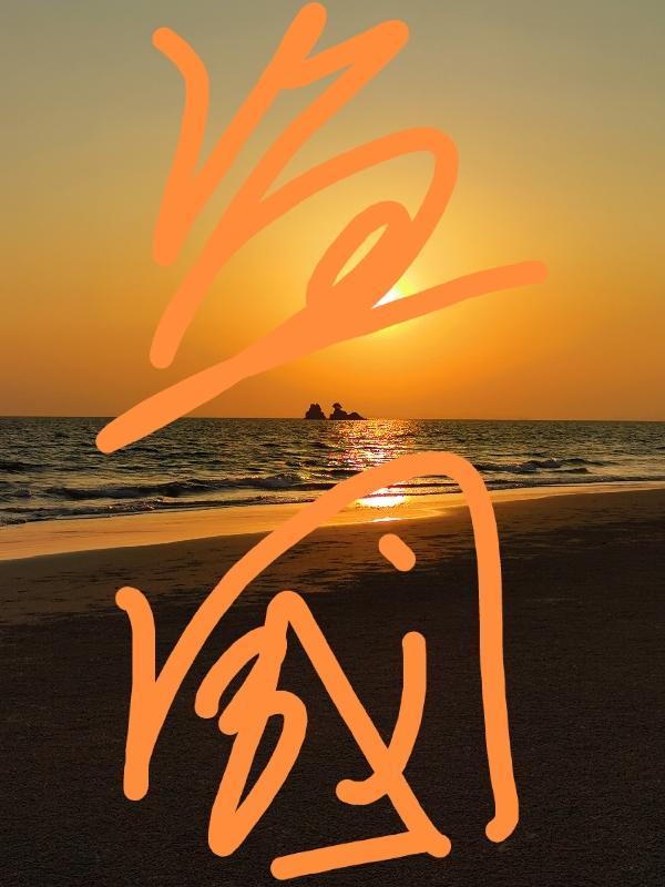 盗国宝的电视剧