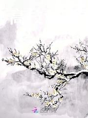 高枝难攀短剧王译磊