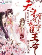 天才萌宝 农家俏王妃