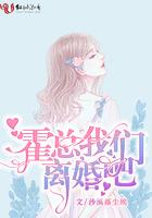 霍少南我们离婚吧