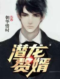 潜龙赘婿是杀神短剧合集
